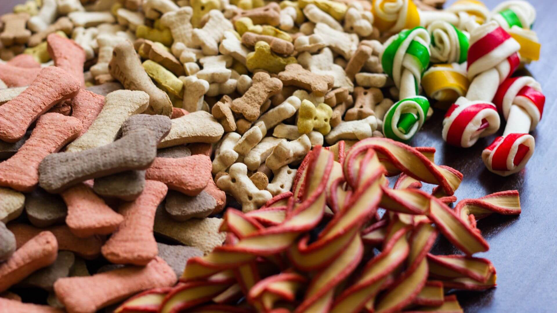 Top 10 Trending Dog Treats in Singapore for 2024 k9culture