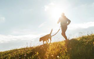 human running with dog 