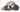 Dog Chewing