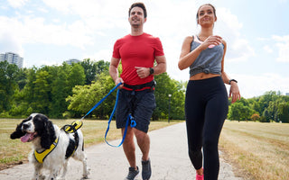 2 persons jogging with a dog