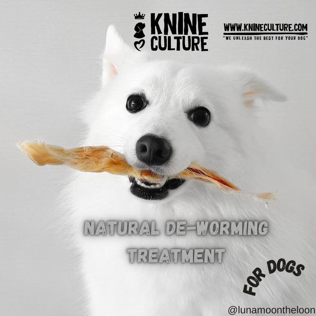 Best Natural DeWorming Treatments for Dogs k9culture