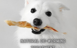 Best Natural De-Worming Treatments for Dogs - k9culture