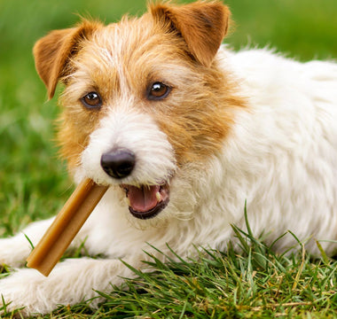 long lasting treats in singapore 