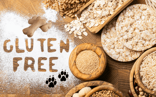 gluten free dog treats