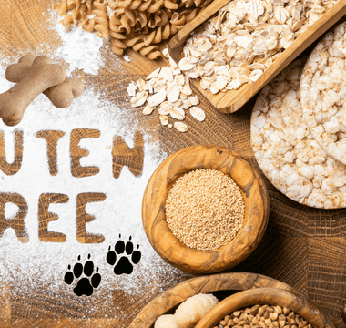 gluten free dog treats
