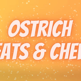 ostrich treats chews