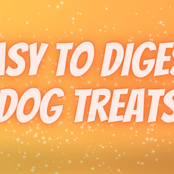 easy to digest dog treats 