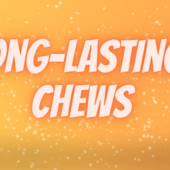 long lasting chews