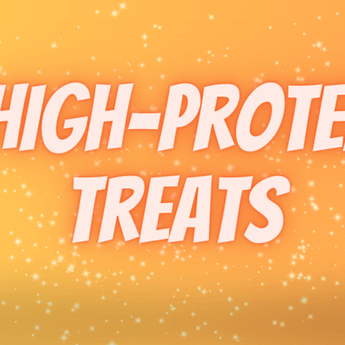 high protein dog treats 