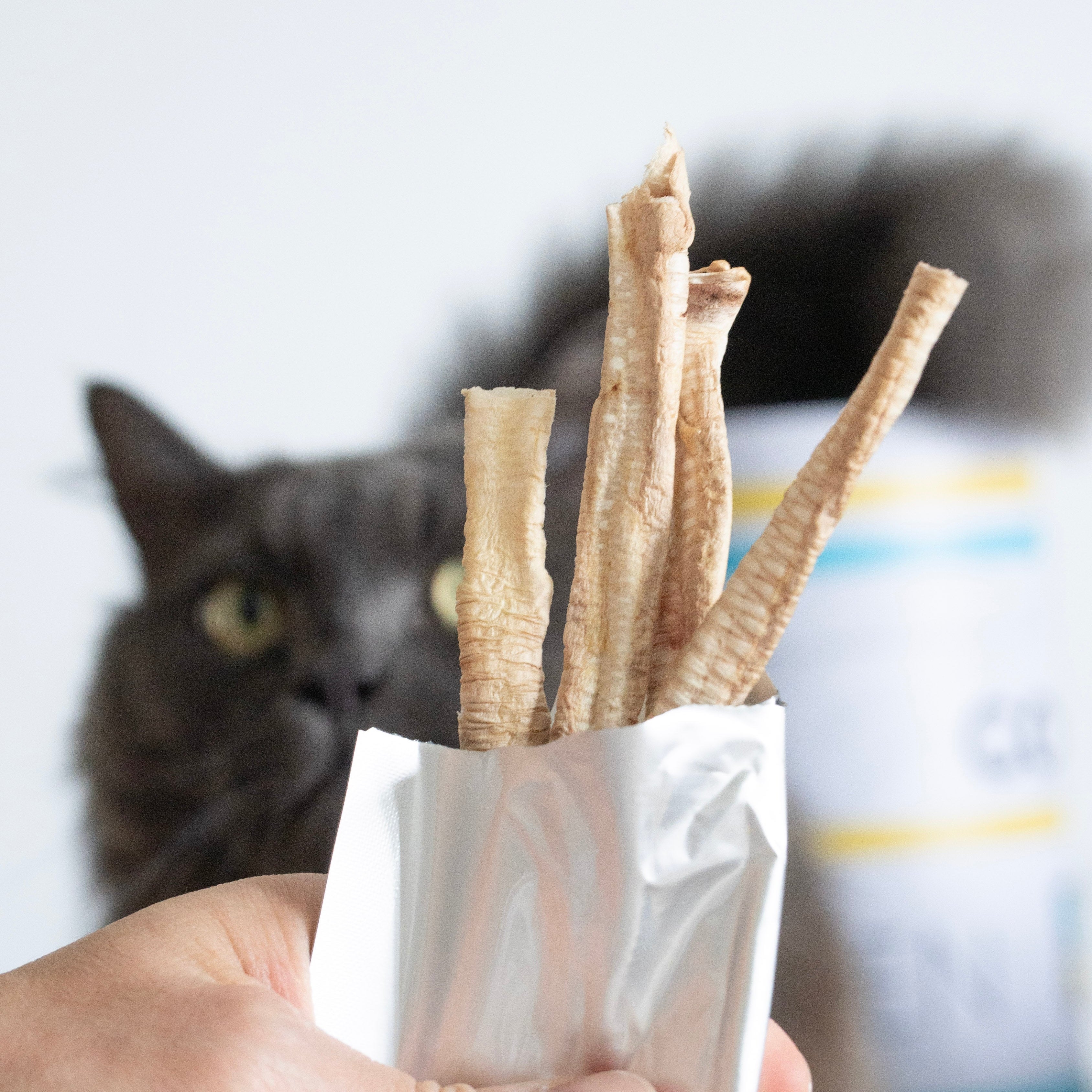 Goose Trachea (Freeze Dried)