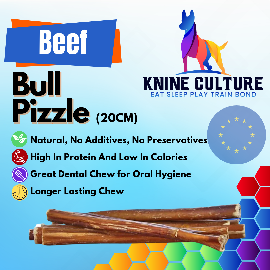 Bully Sticks ( Pizzle) Low Odor  Natural Dental Chew For Dogs (Pack of 2)