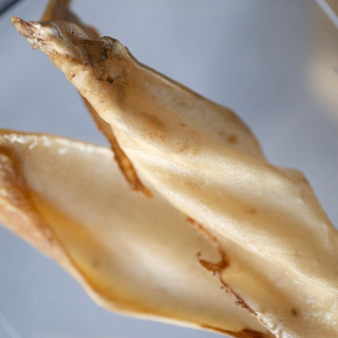 Sliced Beef Ear (Air Dried) - single protein chew for dogs, natural ingredient