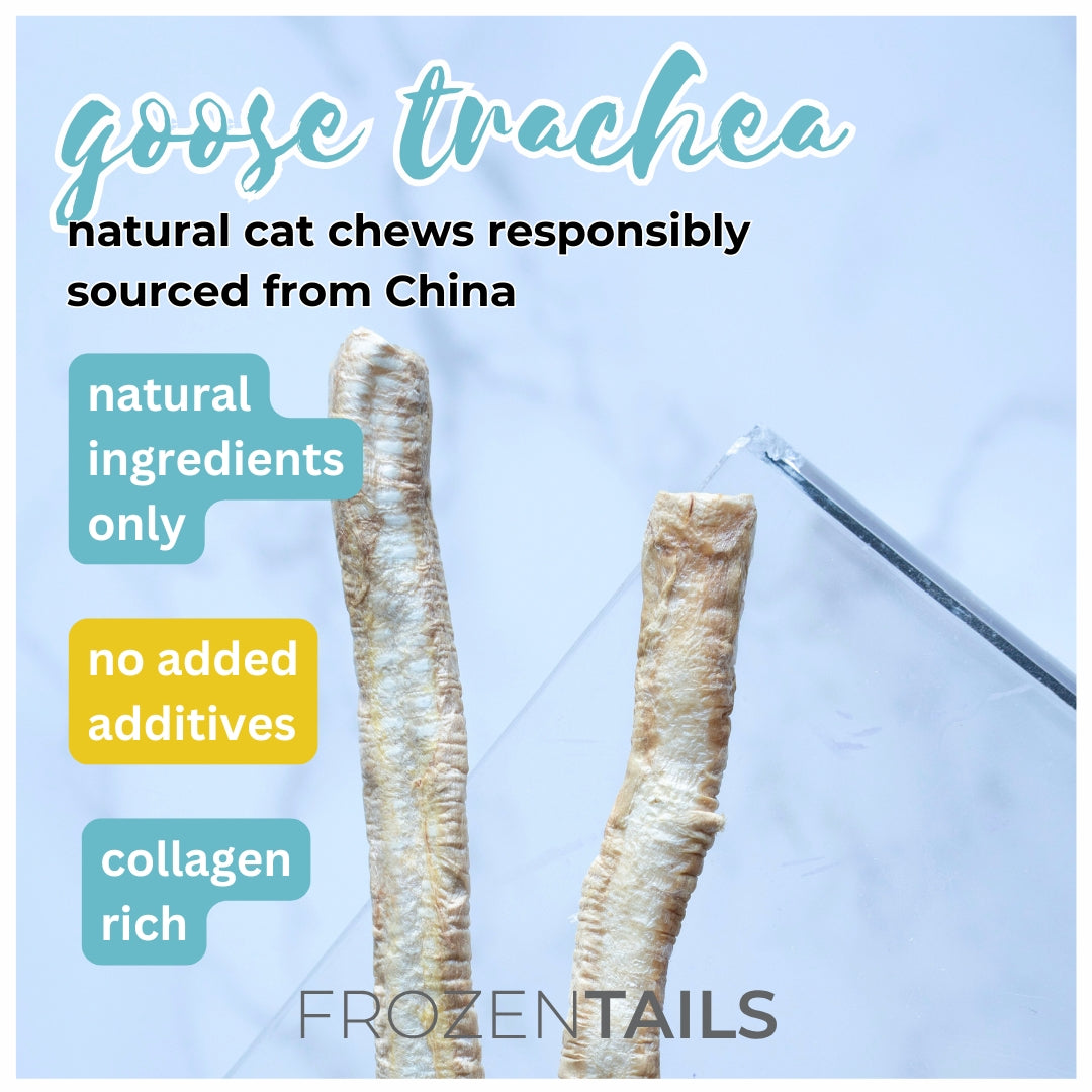 Goose Trachea (Freeze Dried)