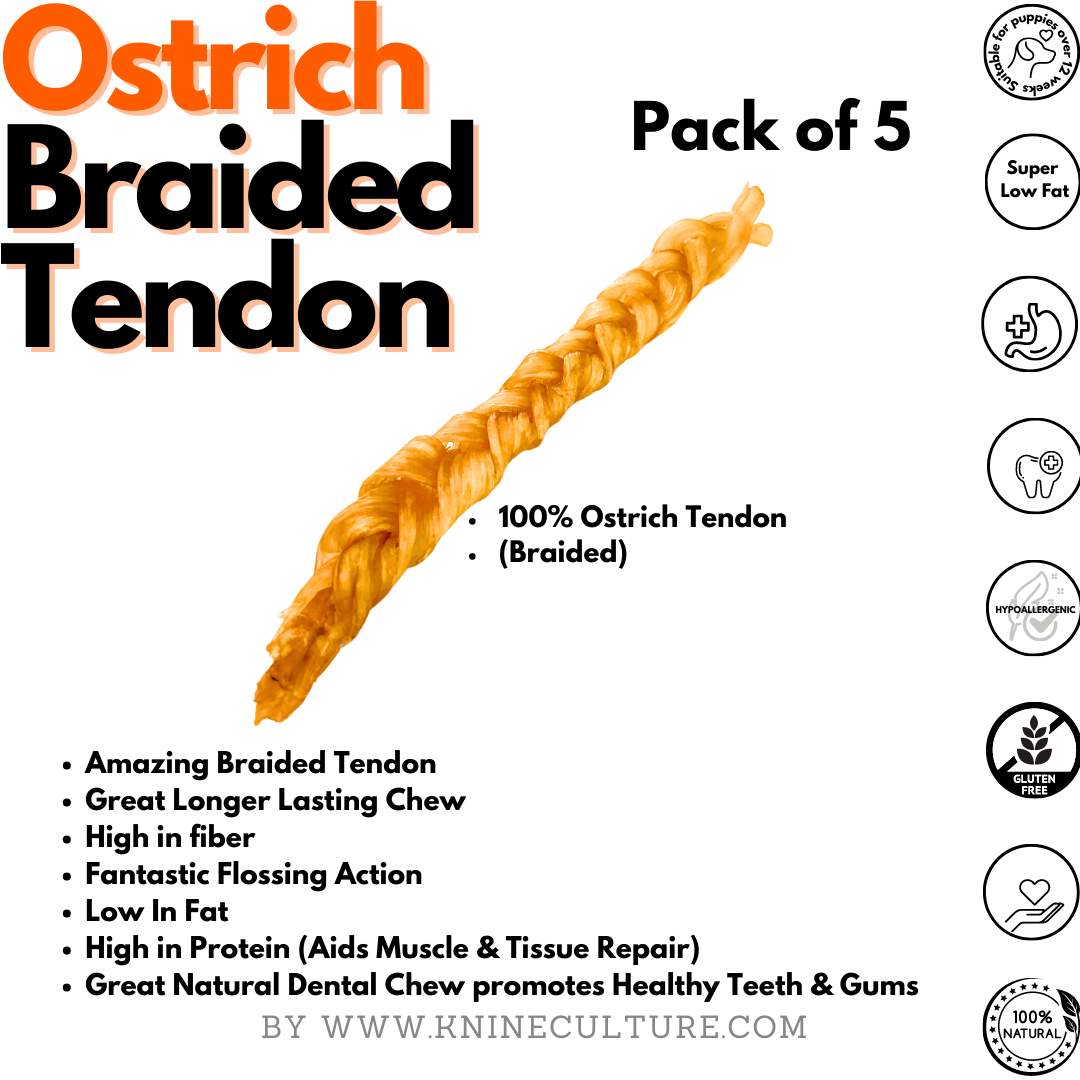 Ostrich  Premium Braided Tendon (Pack of 5)