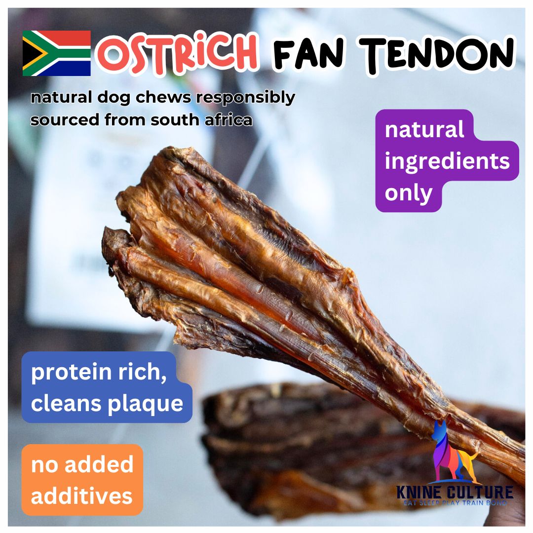 Ostrich Fan Tendon- single ingredient chew, natural treat for dogs