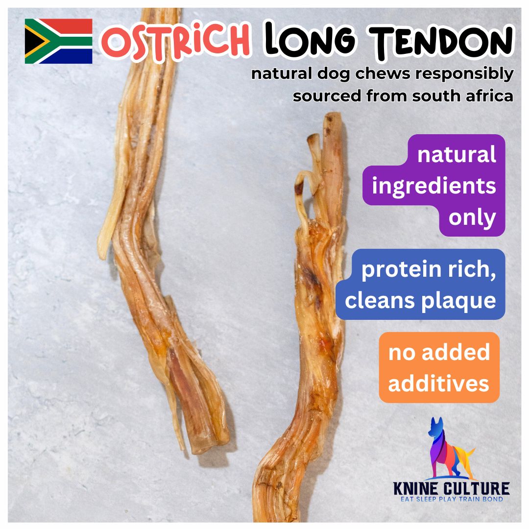 Ostrich Long Tendon (1 pc)  - dehydrated dog chew, single ingredient, hypoallergenic