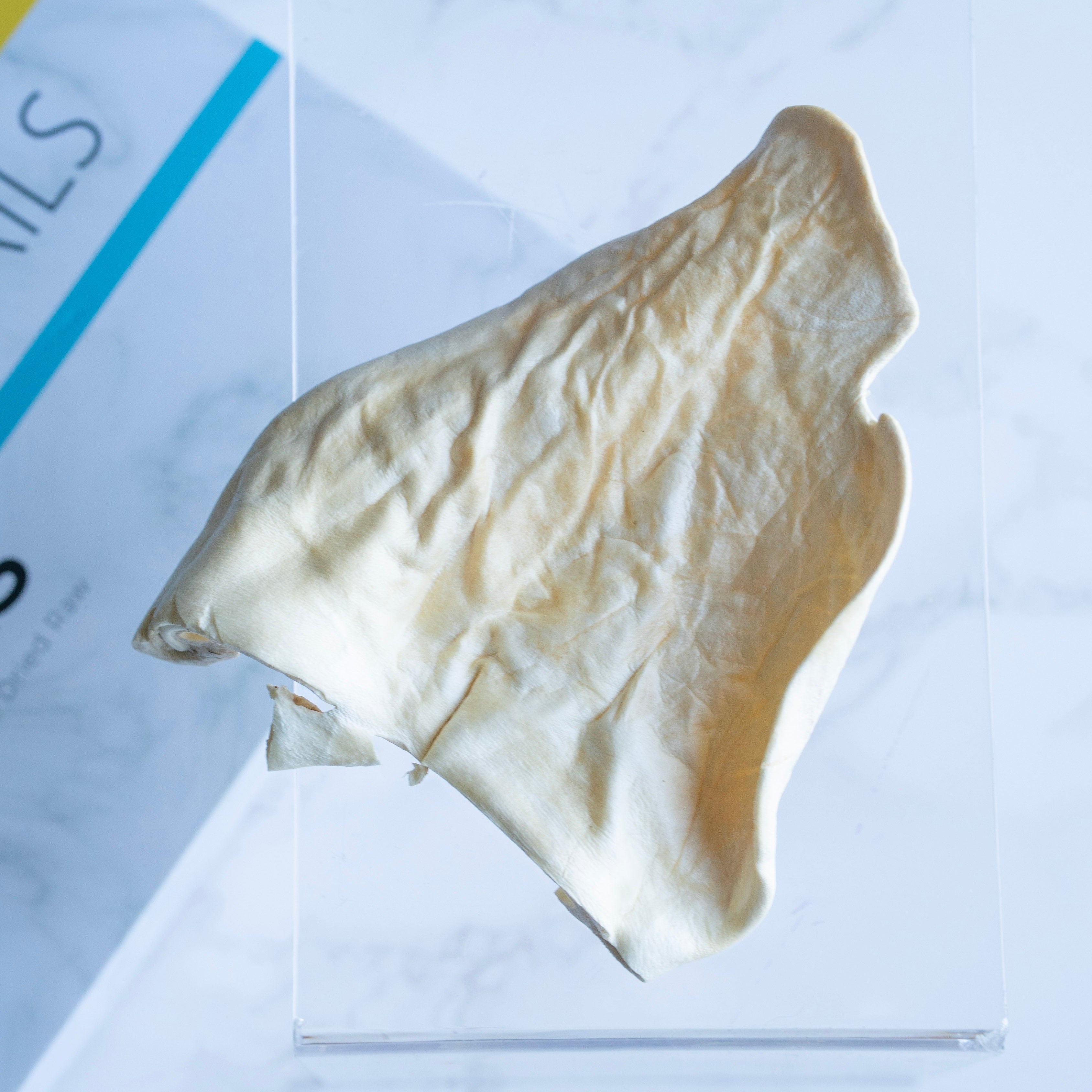 Whole Beef Ear (Freeze Dried)