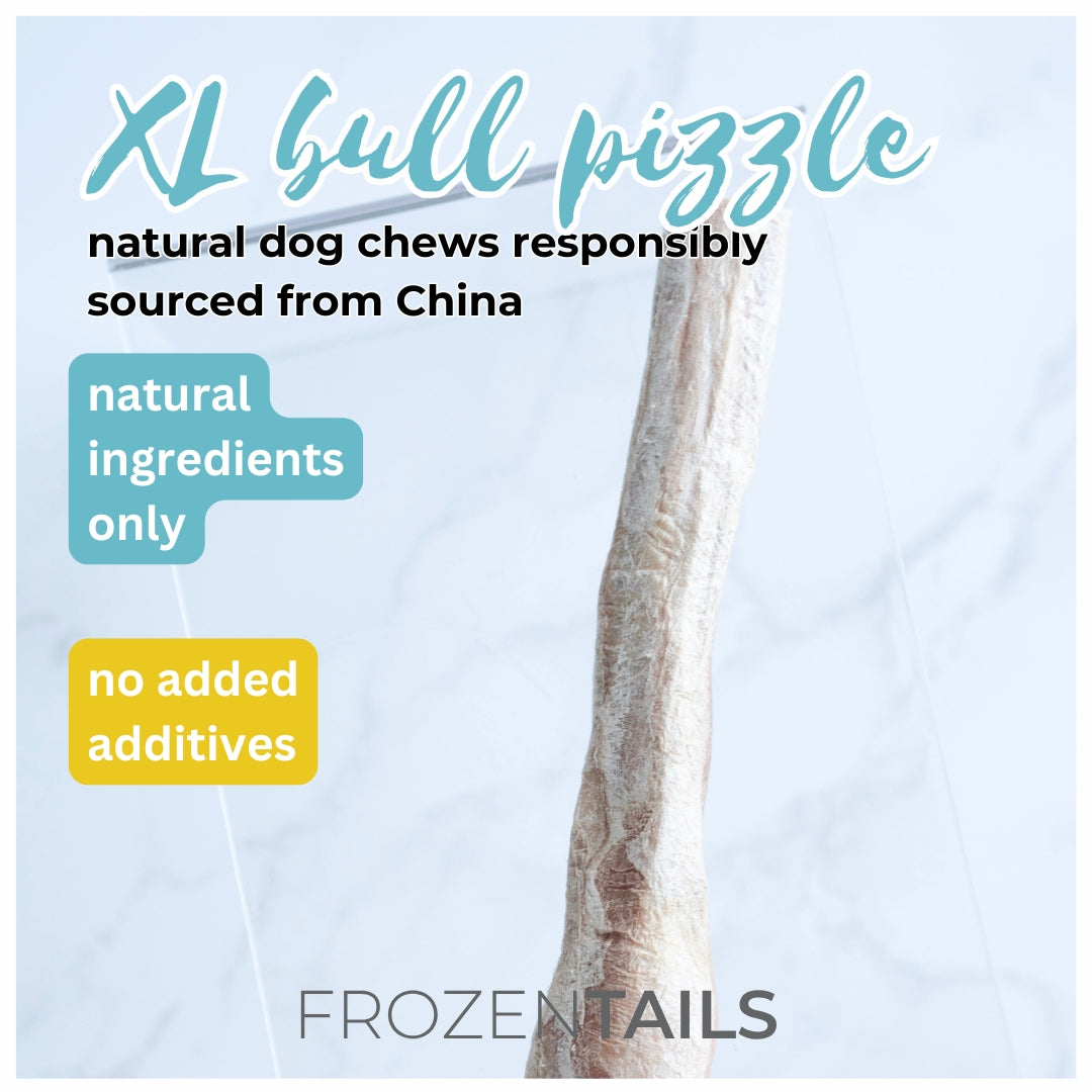 XL Beef Pizzle (Freeze Dried)