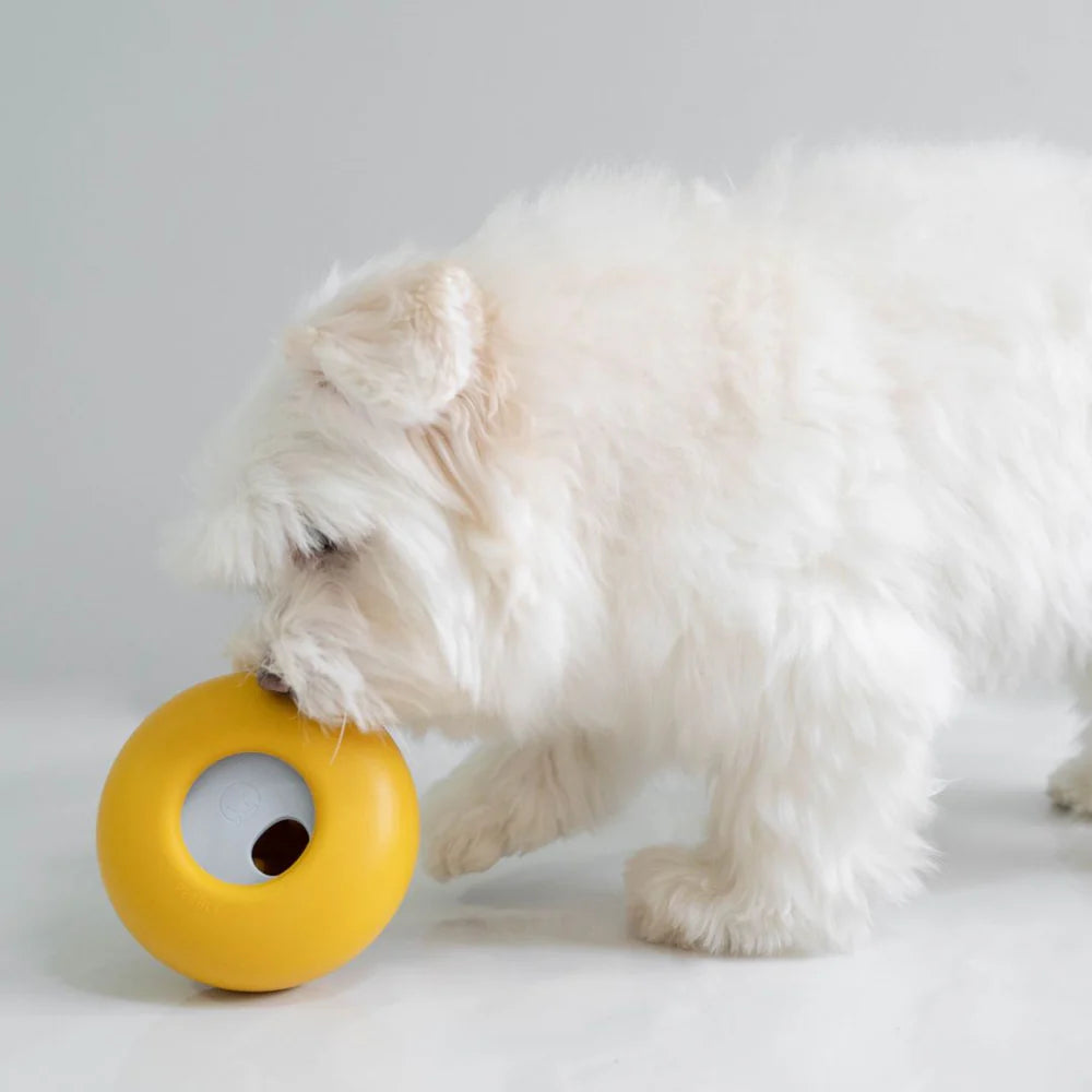 Godbitlomme ball Puppington Pods Puppington Pupper Snuffle Ball for Dogs - Find Black-Owned Businesses Godbitlomme ball Puppington Pods Puppington Pupper Snuffle Ball for Dogs - Find Black-Owned Businesses
