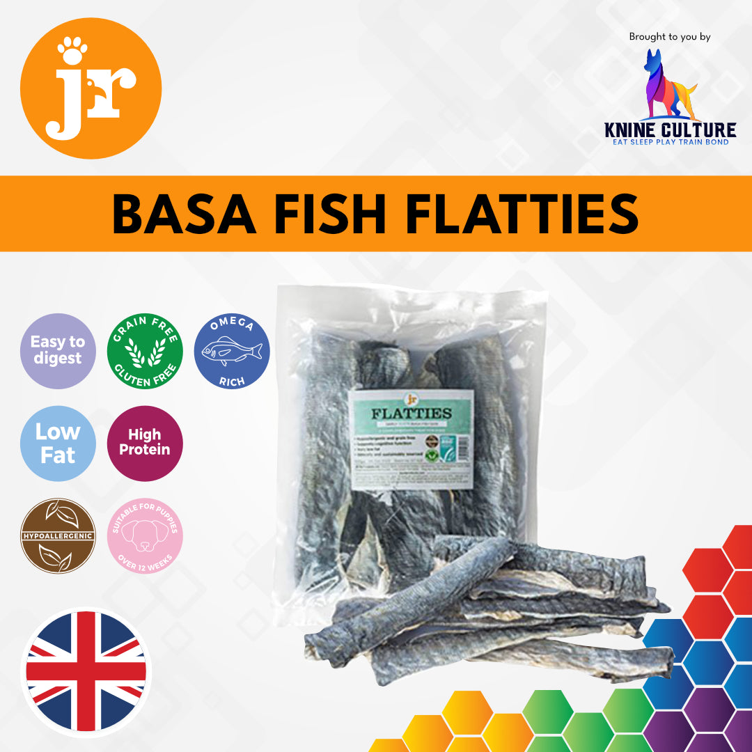 Basa Fish Flatties