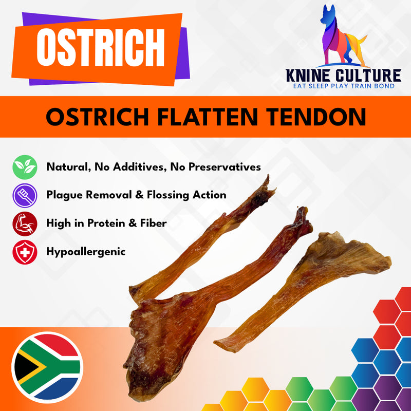 Ostrich Flatten Tendon (100g) 5-7pieces