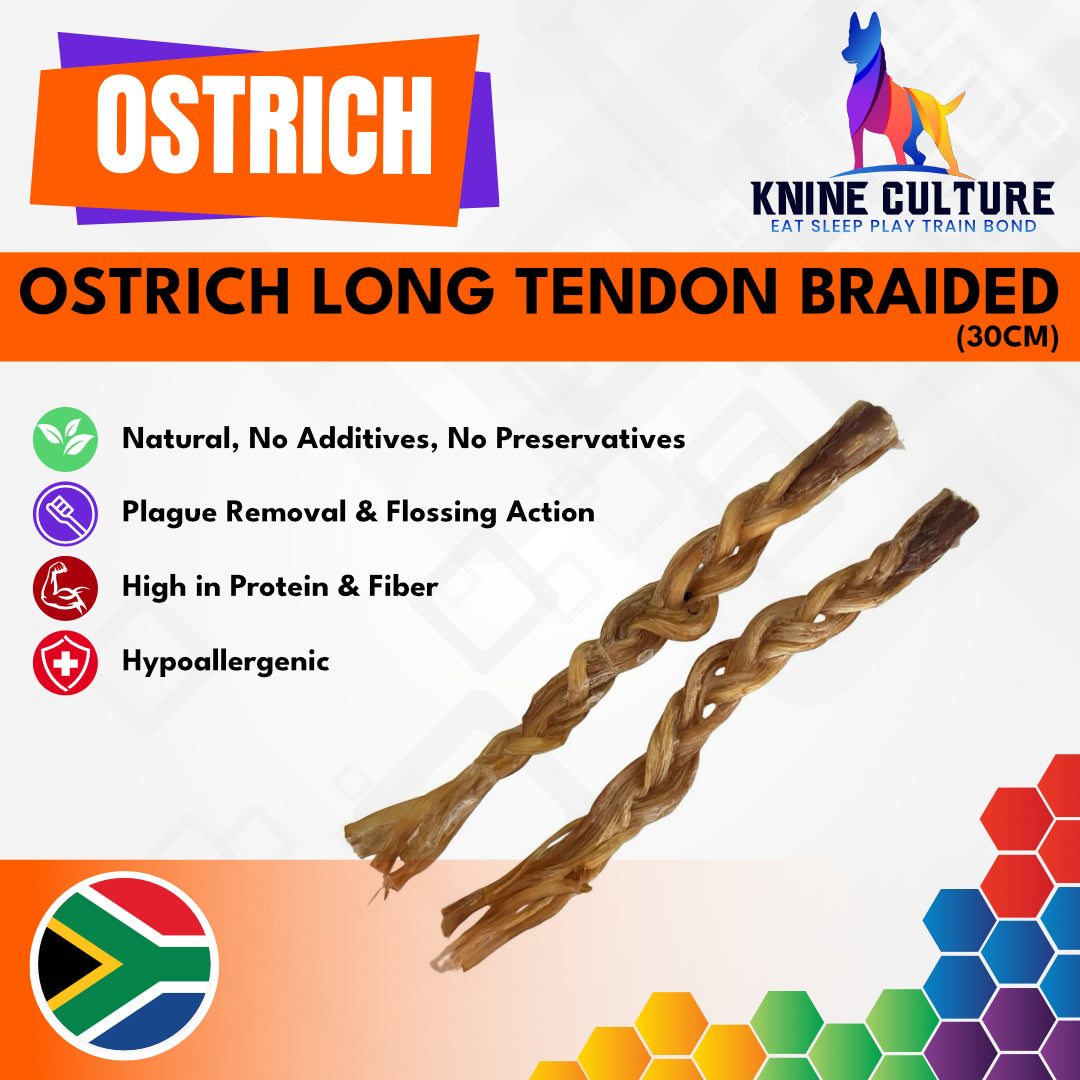 Ostrich Braided Long Tendon 30cm (1pc)