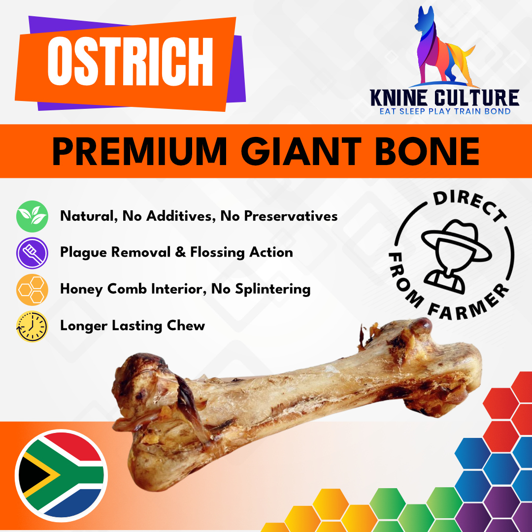 Premium Ostrich Bone
