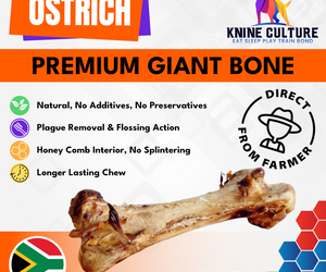 Premium Ostrich Bone