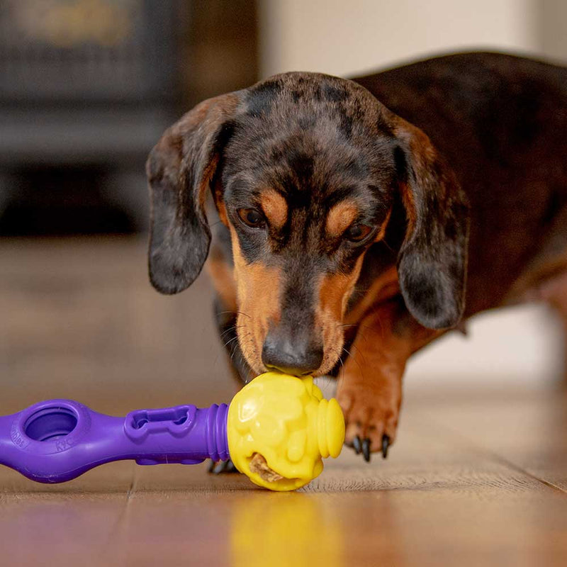 Tech Bone - Gentle Dog Toys –