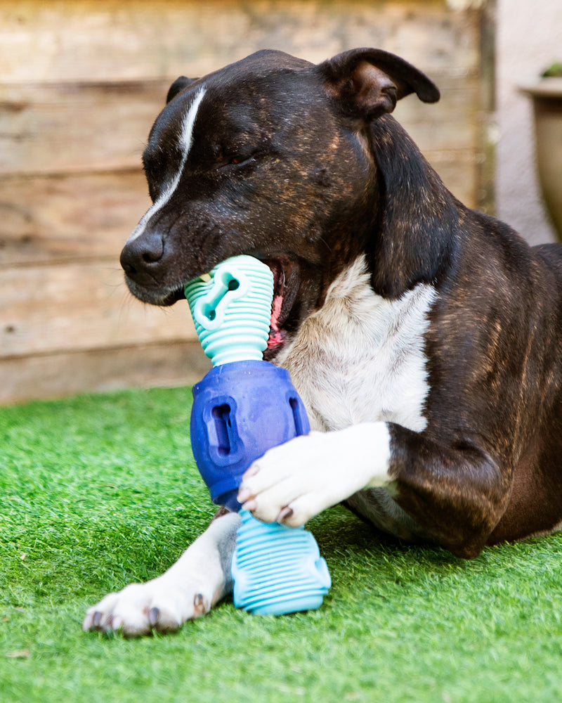 Tuff Toothie - Pro Dog Toys - k9culture K9 Connectables