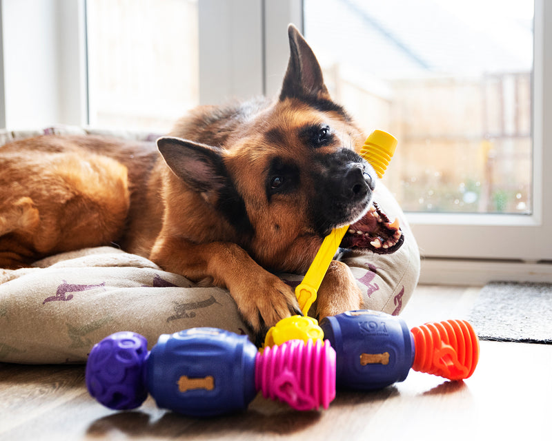 Yes Bone - Pro Dog Toys - k9culture K9 Connectables
