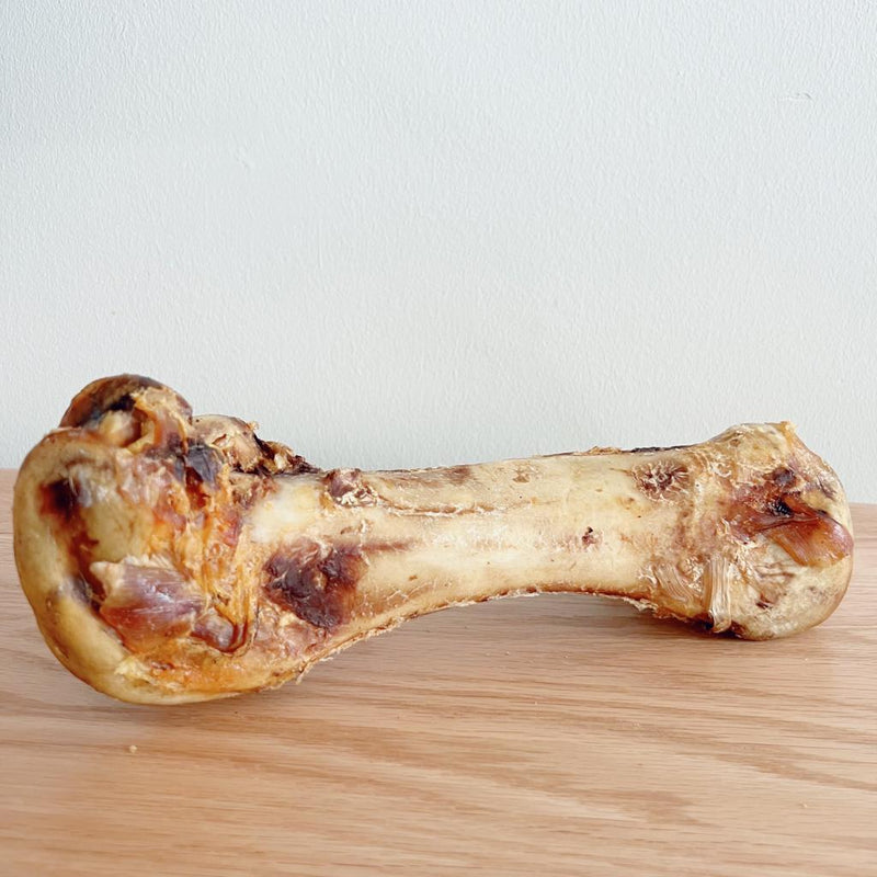 Premium Large Ostrich Bone - k9culture K9 Culture